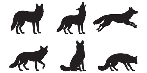 Obraz premium Coyote Vector Set Different Poses