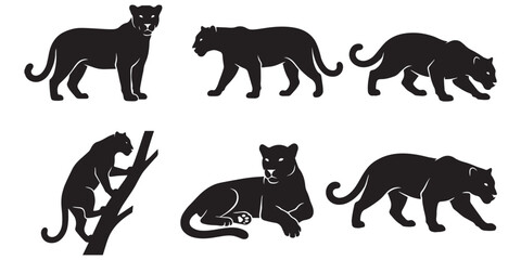 Obraz premium Jaguar Vector Set Different Poses