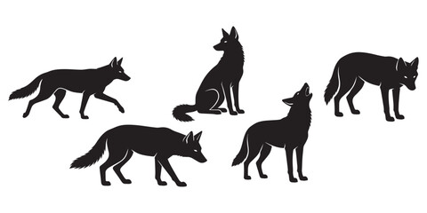 Obraz premium Coyote Vector Set Different Poses