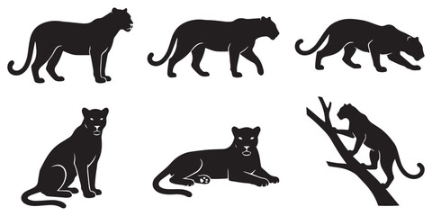 Leopard Vector Set Different Poses © maxsabbir07