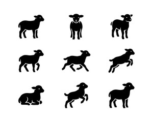 Minimalist Lamb Icon Set, Flat White Baby Sheep Silhouettes on Black Background, Vector Logo Collection © Farid