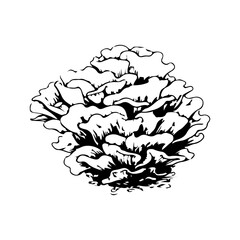 Fototapeta premium Simple hand drawn underwater coral reef sketch, engraved ocean marine wildlife ecosystem illustration.
