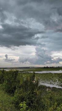 clouds in the sky above the swamp