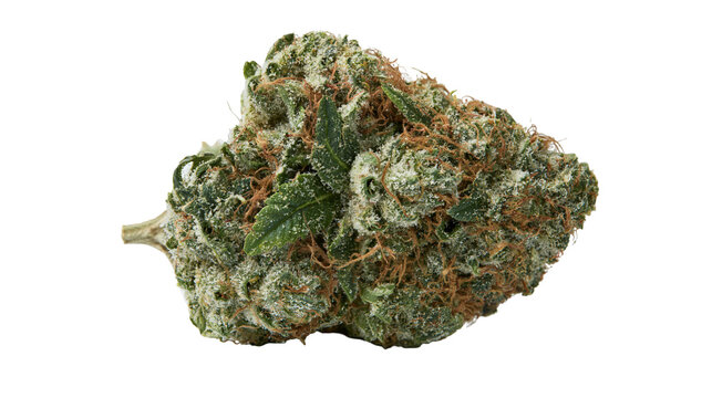 Green cannabis bud with orange pistils and white trichomes