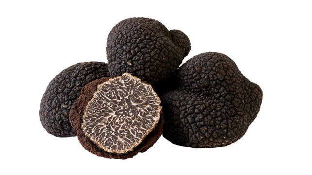 Black truffles, one sliced showing intricate white veining