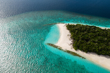 Fototapeta premium Aerial view shows a crescent sandbar curving around a palm islet in a Maldivian atoll, Maldives. Turquoise shallows fade to deep ocean, coral reefs and white beach in daylight.