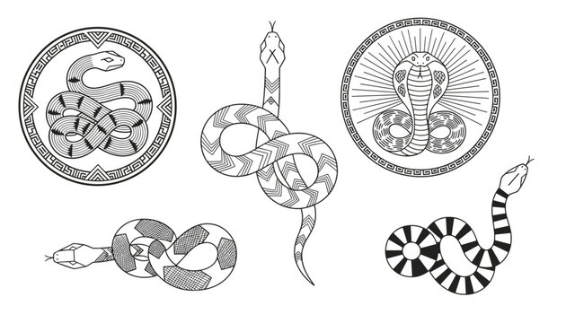 Assorted snake illustrations and emblems featuring different species like cobras in circular and organic linear compositions.