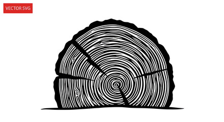 Tree trunk cross section with circular growth rings in silhouette © Sisil