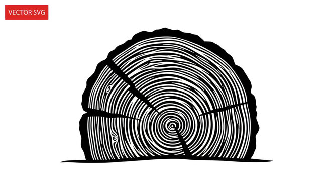 Tree trunk cross section with circular growth rings in silhouette
