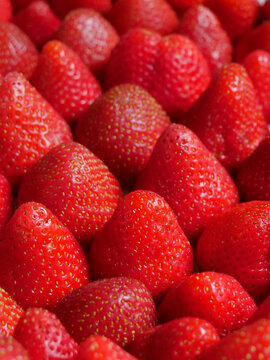 Viele Saftige reife, rote, s&uuml;&szlig;e Erdbeeren, Nahaufnahme