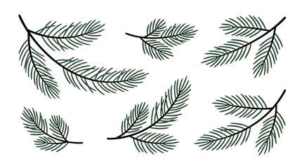 Hand Drawn Pine Tree Branches and Fir Needle Foliage Illustration Set for Winter Nature Design © Rishi