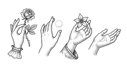 Fototapeta premium Vintage Engraved Illustration Set of Elegant Human Hands Holding Flowers and a Glowing Sphere for Artistic Design Projects