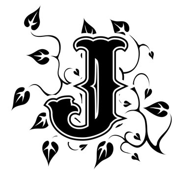 Stylish letter j design with elegant vines