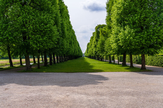 A long symmetrical alley lined with green trees creating a natural tunnel. The path leads to a distant building in Herrenhausen Gardens, Germany.