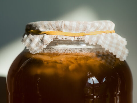 Kombucha fermenting in glass jar 