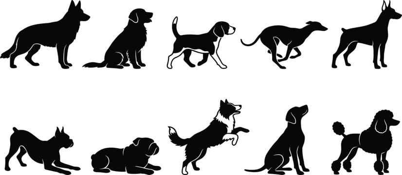 Domestic Dog Silhouette Set with Various Breeds Standing Sitting Running and Playing Poses for Pet Care Branding and Veterinary Designs