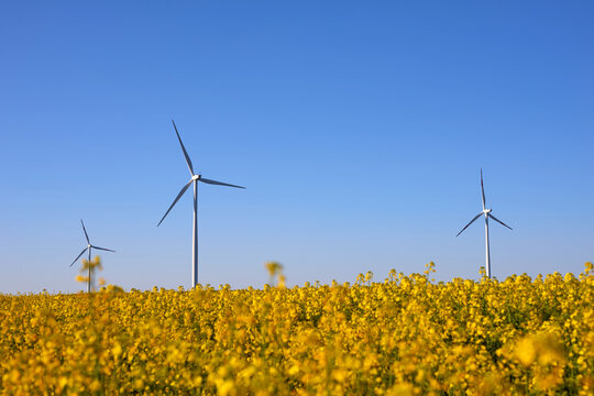 Wind turbines at sunset in green field &ndash; renewable energy, clean power, sustainable future.