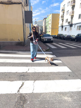 Dog Walk City Crosswalk