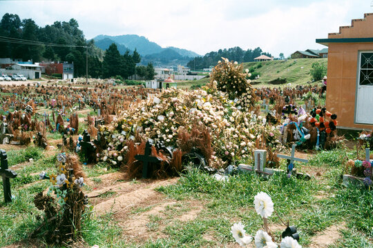 Flower-Covered Graves and Crosses in a Mexican Cemetery