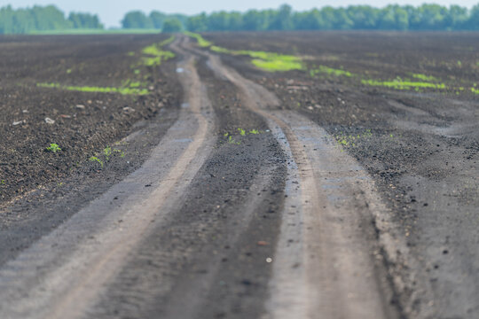 Rutted dirt road through freshly plowed field leading to distant treeline