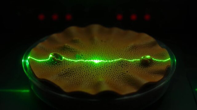 Green laser scanning textured sample in laboratory petri dish.