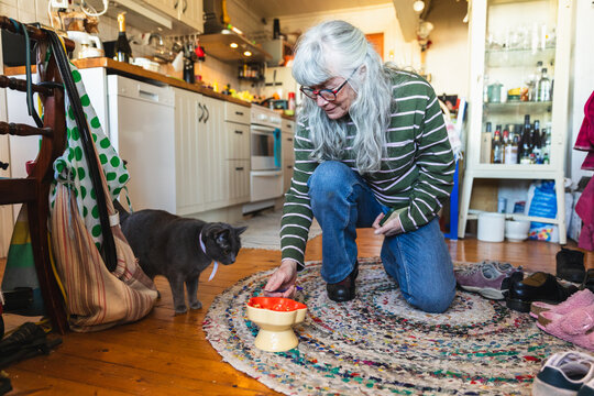 Senior Woman Feeding Gray Cat in Kitchen