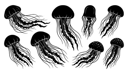 Jellyfish Silhouette Vector Set with Underwater Marine Sea Creatures for Ocean Wildlife Aquarium and Deep Water Swimming Animal Graphic Designs © Hosneara