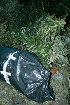 Christmas tree disposal after holiday season