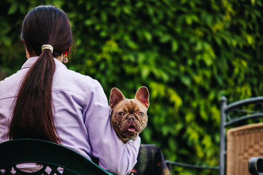 Owner Holding Frenchie Outdoors