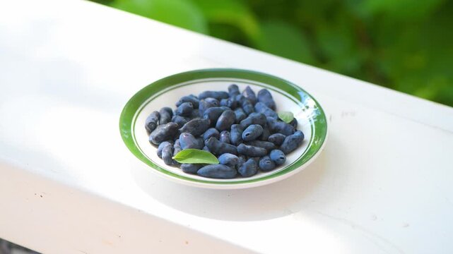 Haskap berries, also known as honeyberries or blue honeysuckle, filling a white plate with a green rim, showcasing their oblong shape and deep blue color, with fresh green leaves