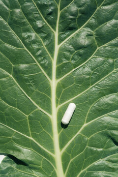 White Supplement Pill on Green Leaf