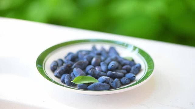 Haskap berries, also known as honeyberries or blue honeysuckle, filling a white plate with a green rim, showcasing their oblong shape and deep blue color, with fresh green leaves