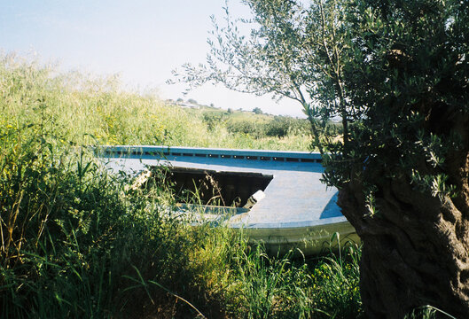 Old Boat Resting Among Grass and Trees in a Sunny Field