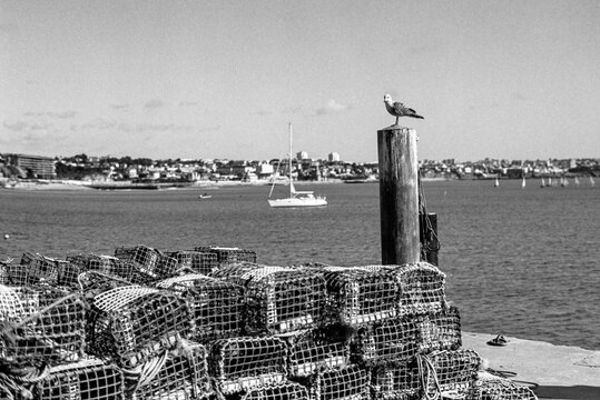 Crab Pots By Harbor