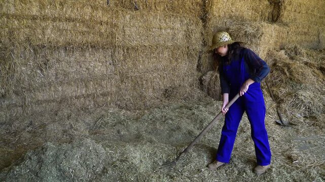 The woman is using a pitchfork to collect and aerate hay in a large barn storage room. She wears protective gear including a straw hat and overalls.