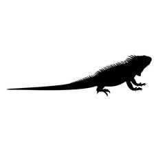 Fototapeta premium Green iguana silhouette graphic icon with silhouette wildlife isolated