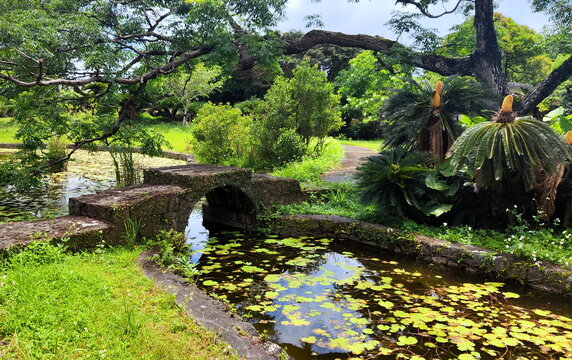Small Stone Bridge across Pond with Water Lilies