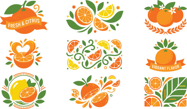 Citrus fruit illustration set with orange lemon slices juice splashes and organic branding elements vector collection