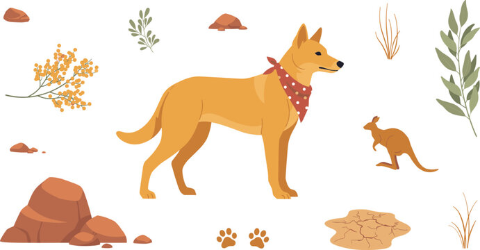 Australian Dingo Wild Dog Character Vector Illustration Set Featuring Kangaroo Silhouette, Golden Wattle Blossom, Outback Rocks, Eucalyptus Leaves, and Paw Prints