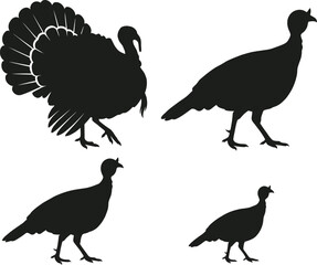Obraz premium Turkey silhouette collection four poses for thanksgiving graphics