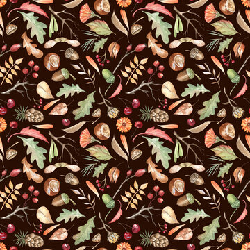 Botanical autumn seamless pattern with oak leaves, acorns, berries, chestnuts, pinecones, maple seeds, and twigs. Watercolor hand-drawn elements on warm deep brown background. For fabric, home textile