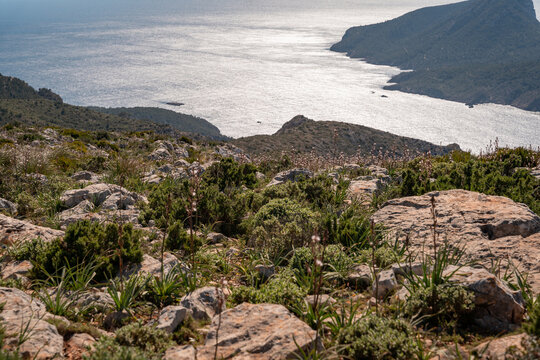 View of the rugged coastline with rocky hills and shimmering sea under bright sunlight in Andratx, Balearic Islands, Spain.