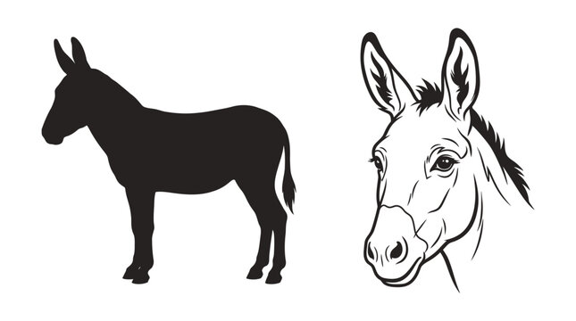 Donkey Silhouette And Portrait Black And White Graphic