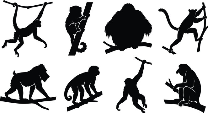 Monkey Silhouette Collection Featuring Arboreal Primates in Natural Wildlife Poses