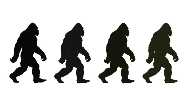 Sasquatch Silhouettes On White Background Four Variations Of A Cryptid