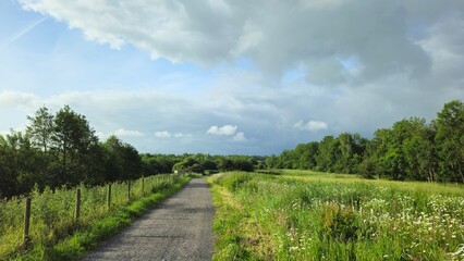 Fototapeta premium Brockholes Nature Reserve, Preston 