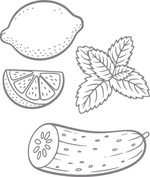 Line of lemon, mint, and cucumber slices