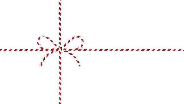 Decorative Gift Ribbon Bow with Wrapping String Crossed Package Design
