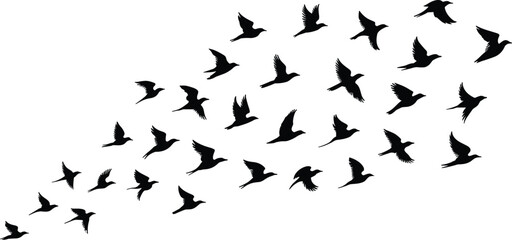 Fototapeta premium Dynamic flying flock of wild migratory birds black silhouettes collection isolated on white background freedom nature wildlife concept vector illustration graphicDynamic flying flock of wild migratory