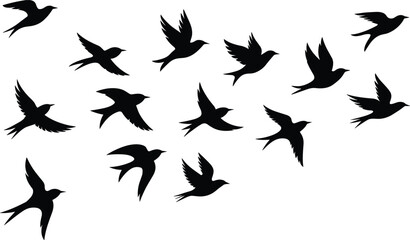 Flock of flying swallows migratory birds black silhouettes collection isolated on white background freedom wildlife nature concept vector illustration graphicFlock of flying swallows migratory birds b © MdAnowar
